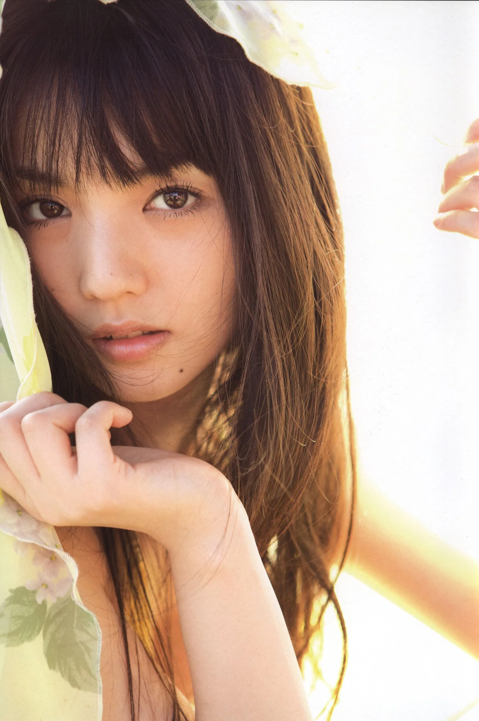 Album ảnh Michishige Yumi 『Blue Rose』 - 3
